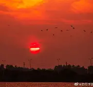 駰鱚z氪缢?n?-李扩鹜?a趓H_